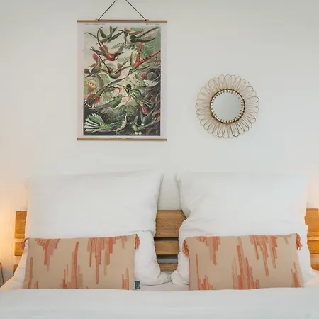 Kakadu - Zentral - Workplace - Gemeinschaftsterrasse, Snes