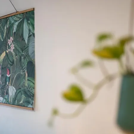 Apartment Kakadu - Zentral - Workplace - Gemeinschaftsterrasse, Snes *