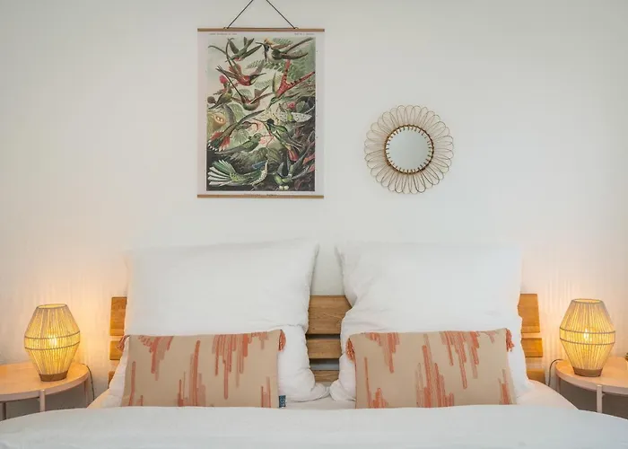 Kakadu - Zentral - Workplace - Gemeinschaftsterrasse, Snes