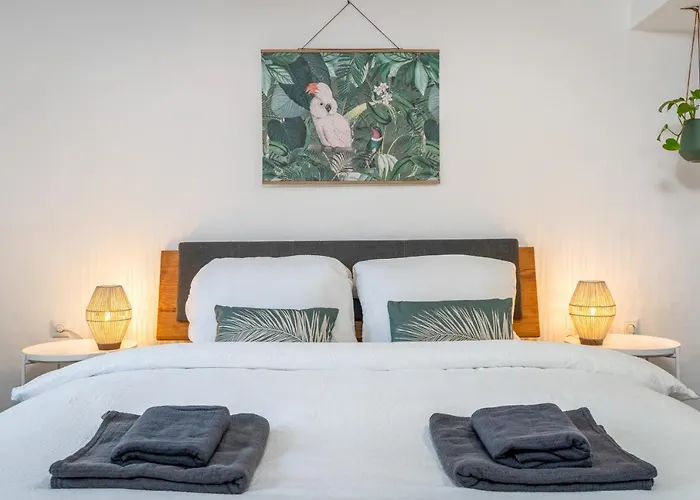 Kakadu - Zentral - Workplace - Gemeinschaftsterrasse, Snes * Франкенберг